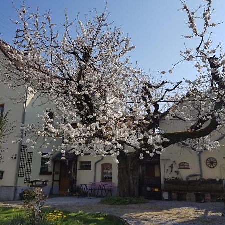 Ferienwohnung Zum-Alten-Kirschbaum Limburg an der Lahn Exterior foto