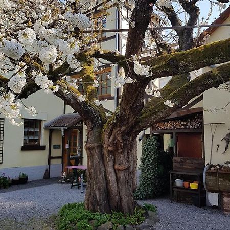 Ferienwohnung Zum-Alten-Kirschbaum Limburg an der Lahn Exterior foto