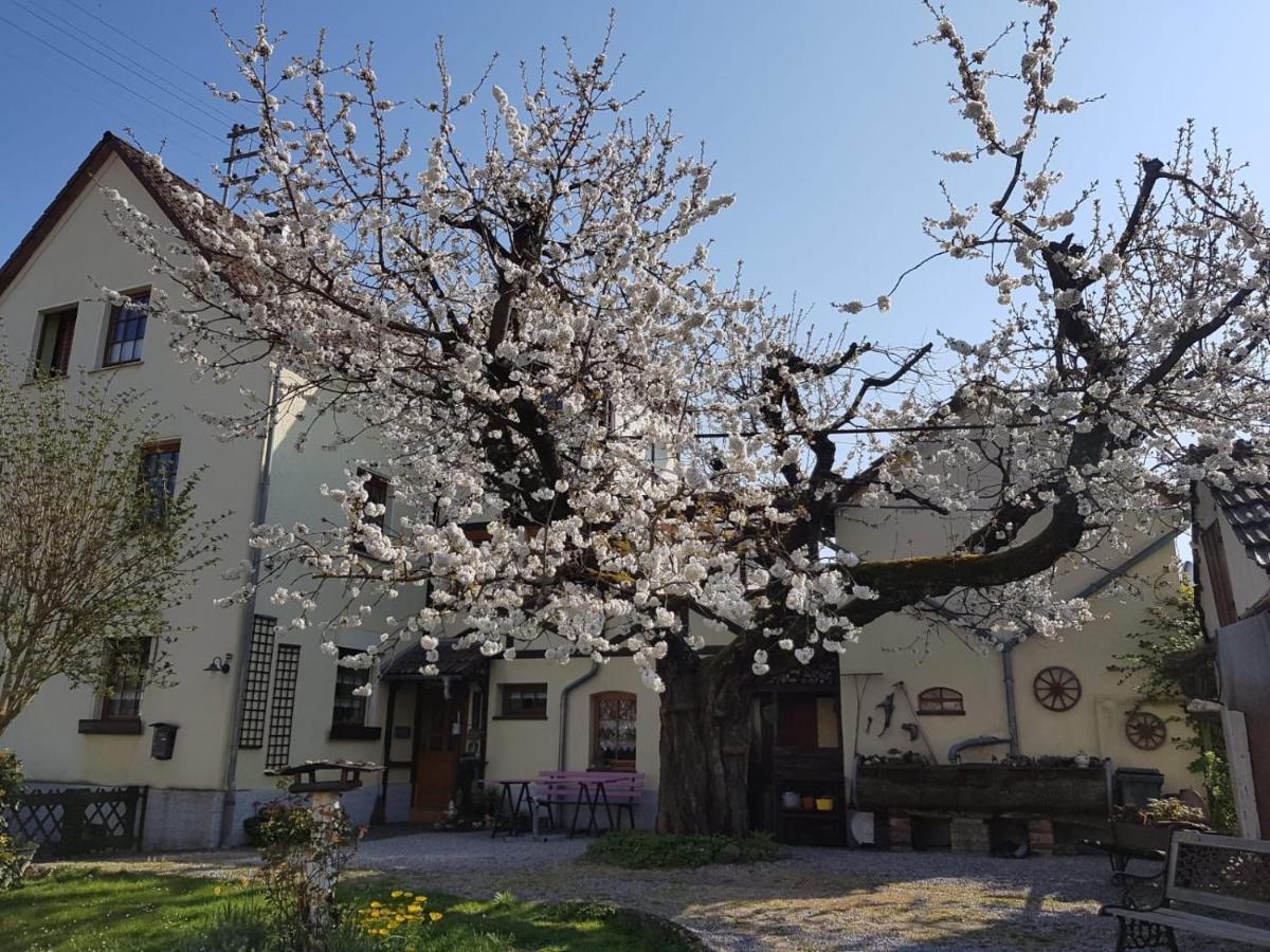 Ferienwohnung Zum-Alten-Kirschbaum Limburg an der Lahn Exterior foto