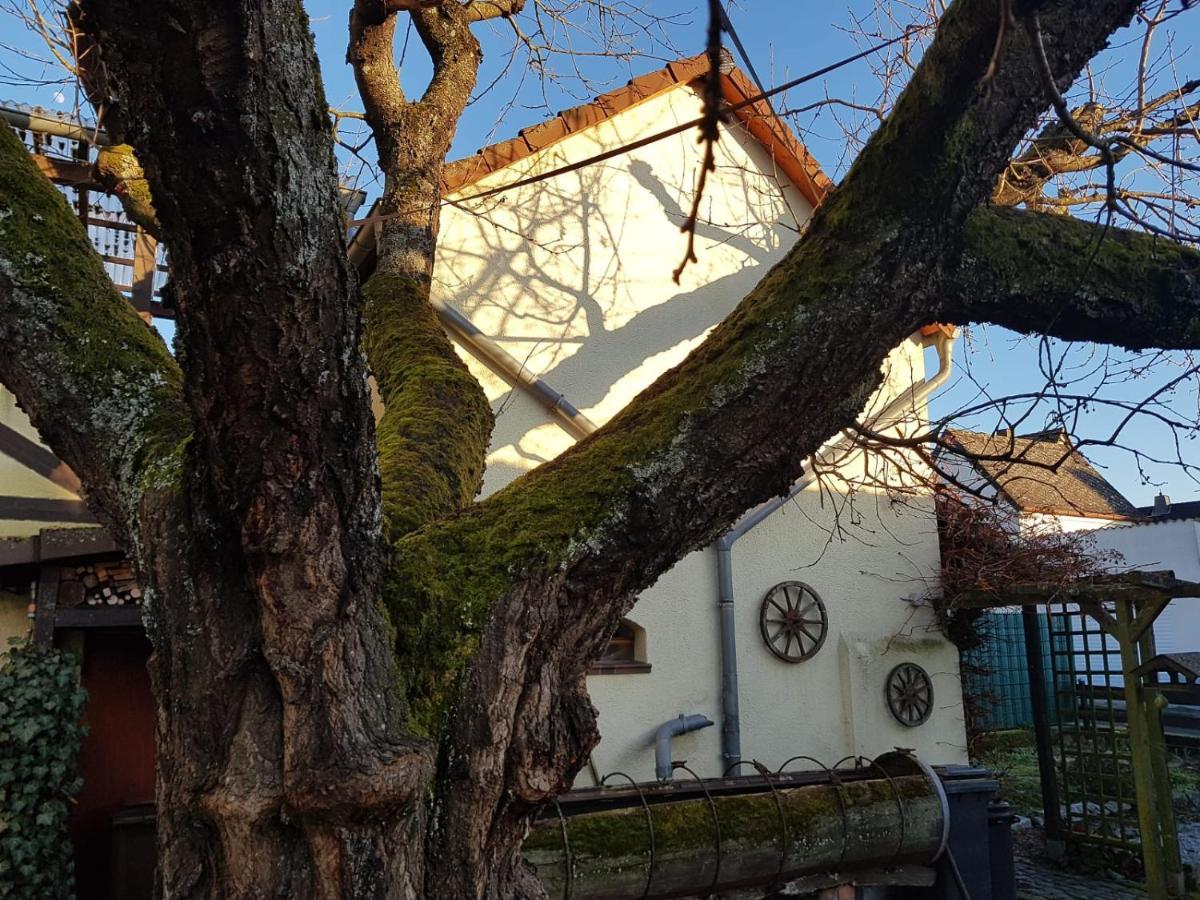 Ferienwohnung Zum-Alten-Kirschbaum Limburg an der Lahn Exterior foto