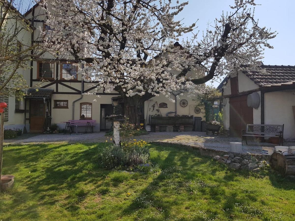 Ferienwohnung Zum-Alten-Kirschbaum Limburg an der Lahn Exterior foto